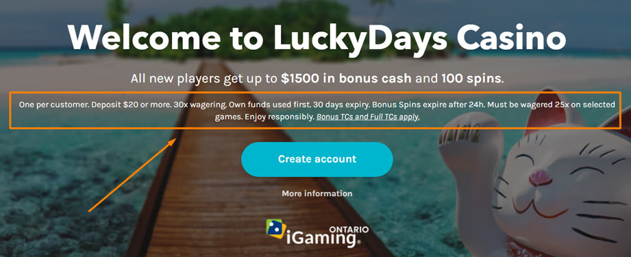 LuckyDays Casino available bonuses