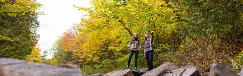 Teenagers in Lanark County Forest